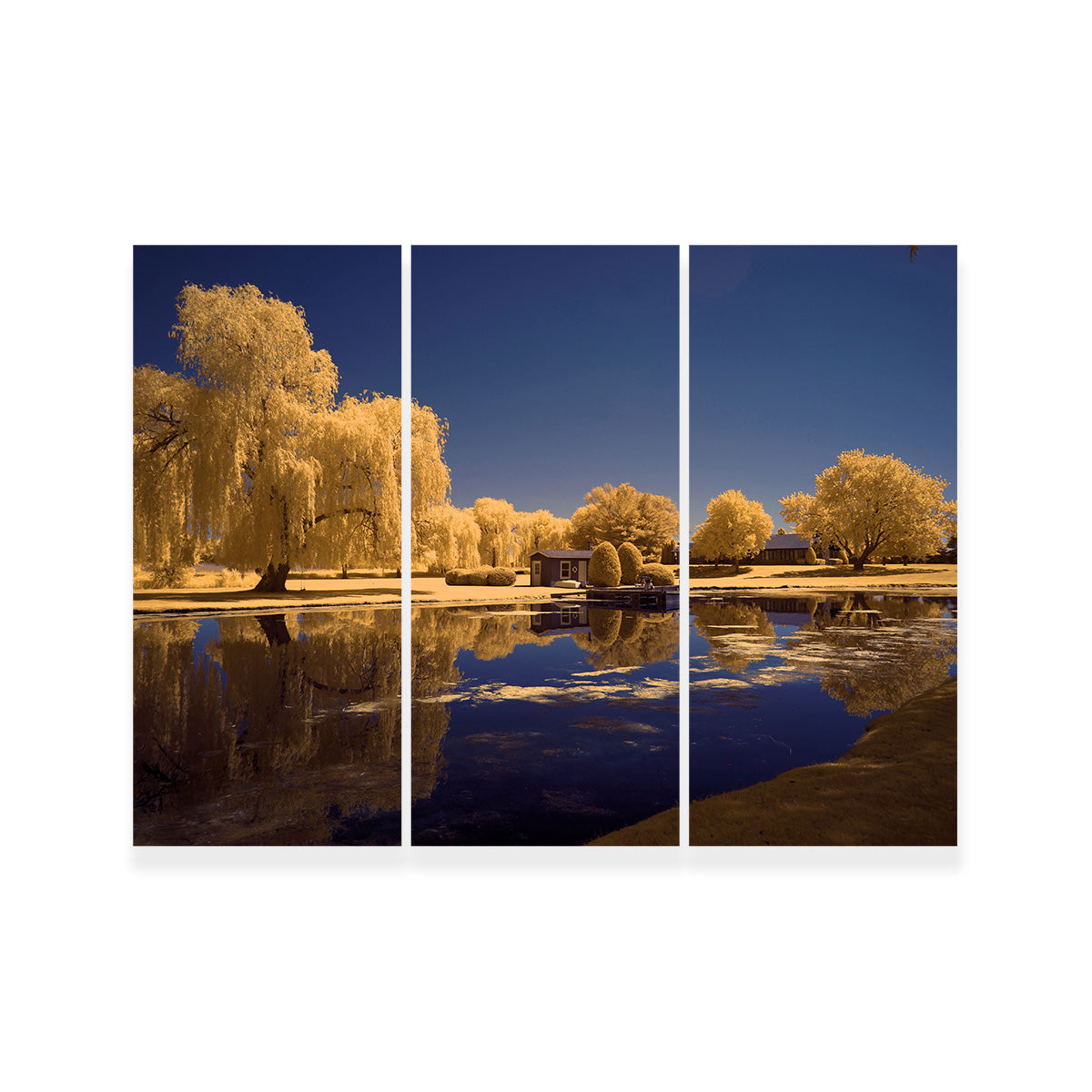 Lippold Park Wall Art
