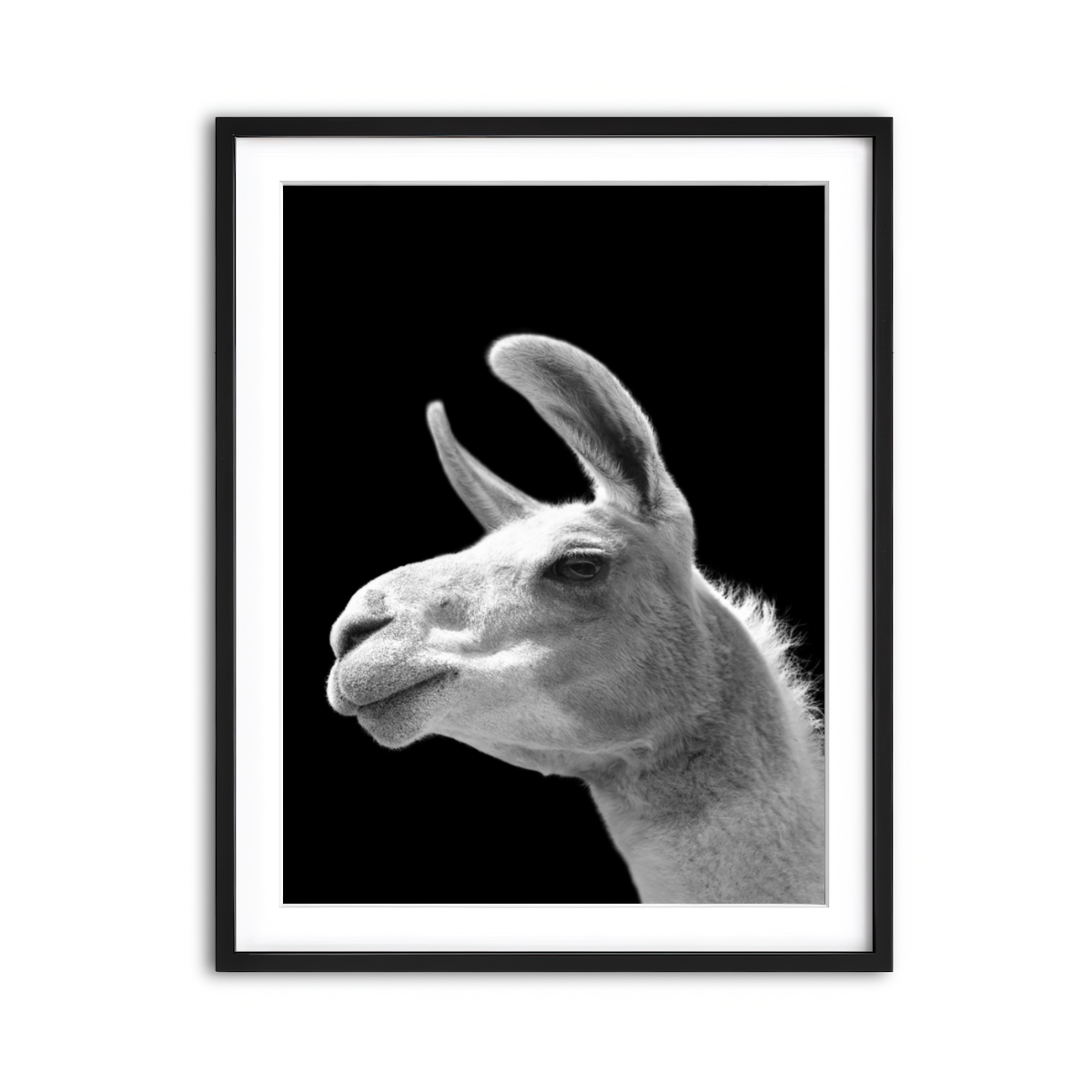 Framed Print 3x4 Black