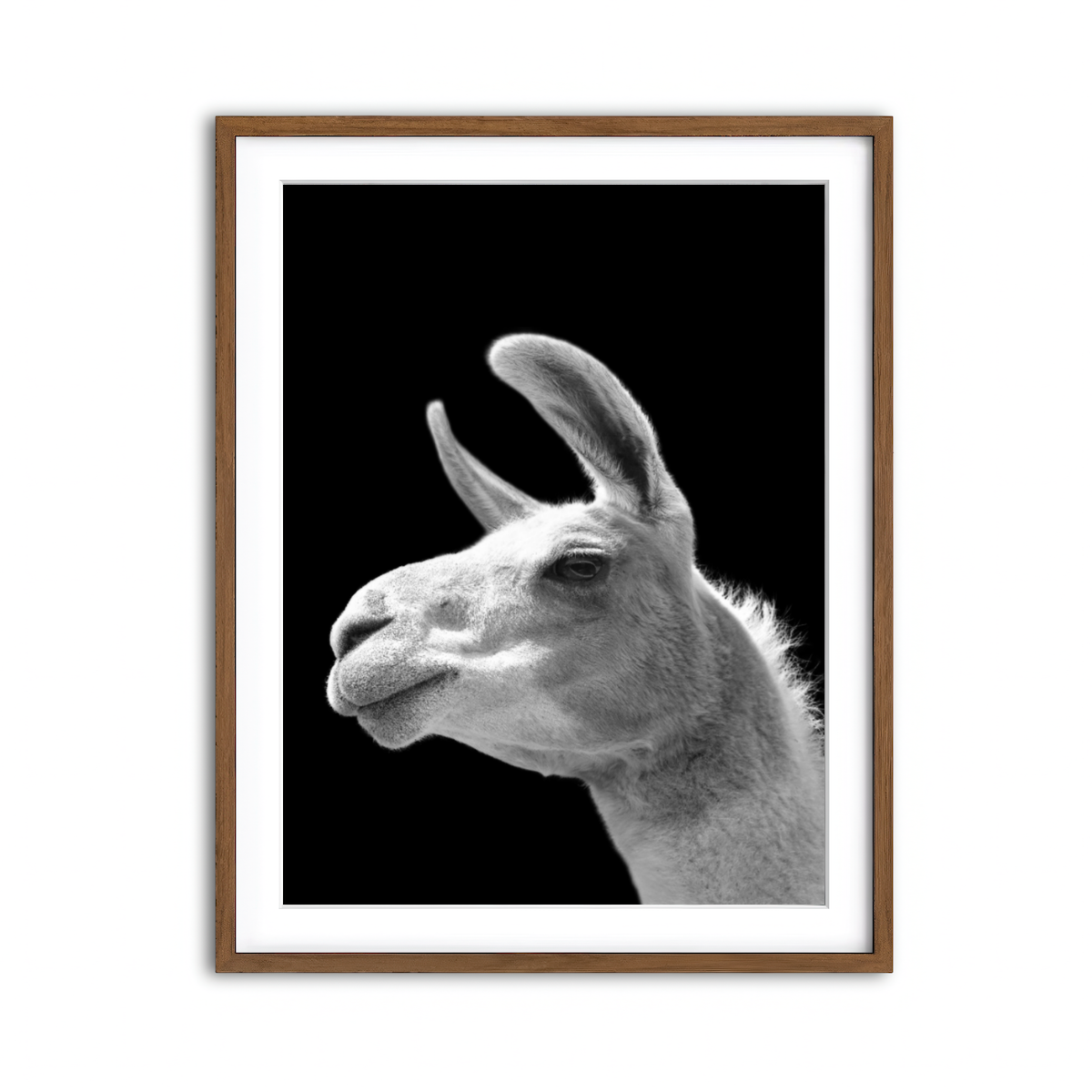 Framed Print 3x4 Walnut