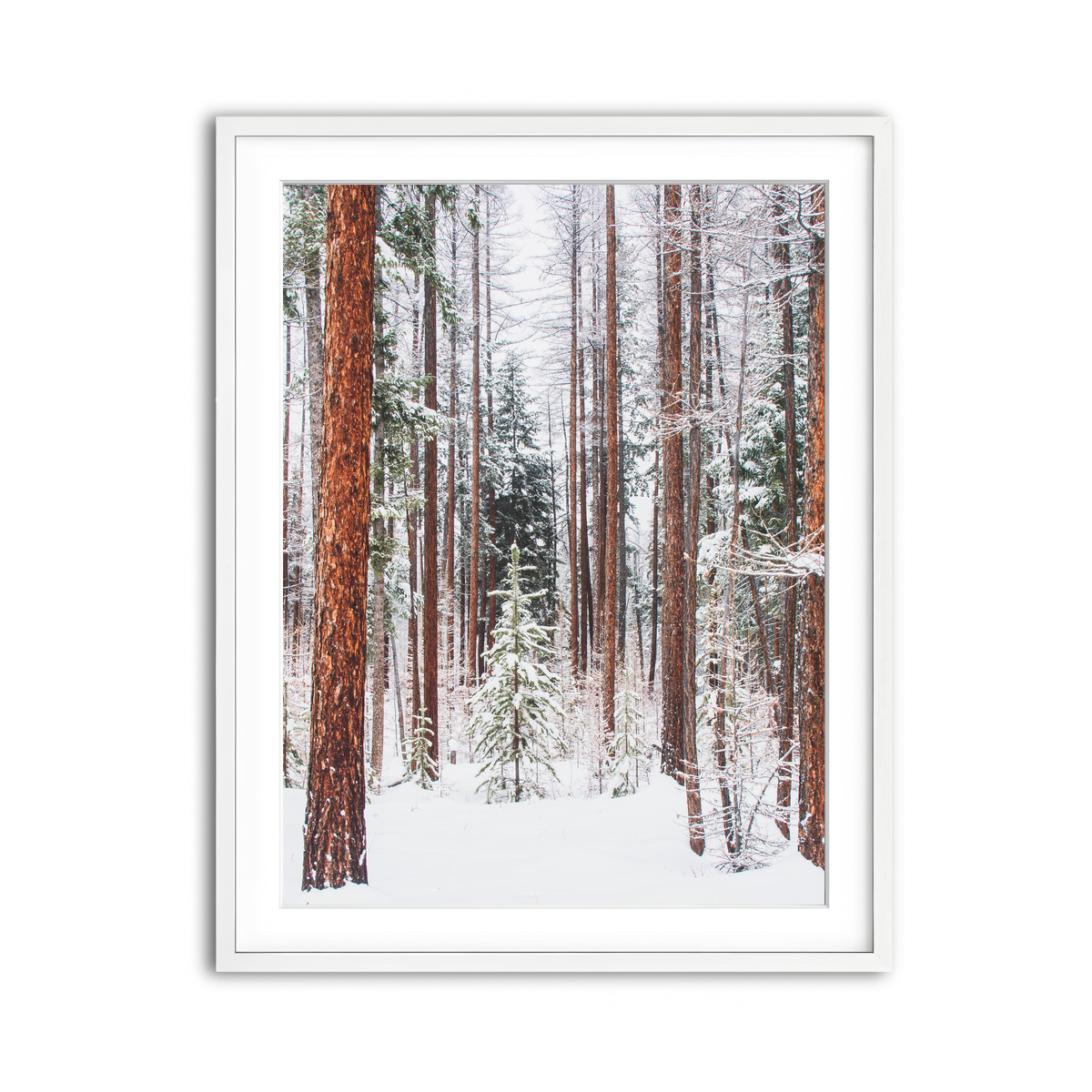 Framed Print 3x4 White