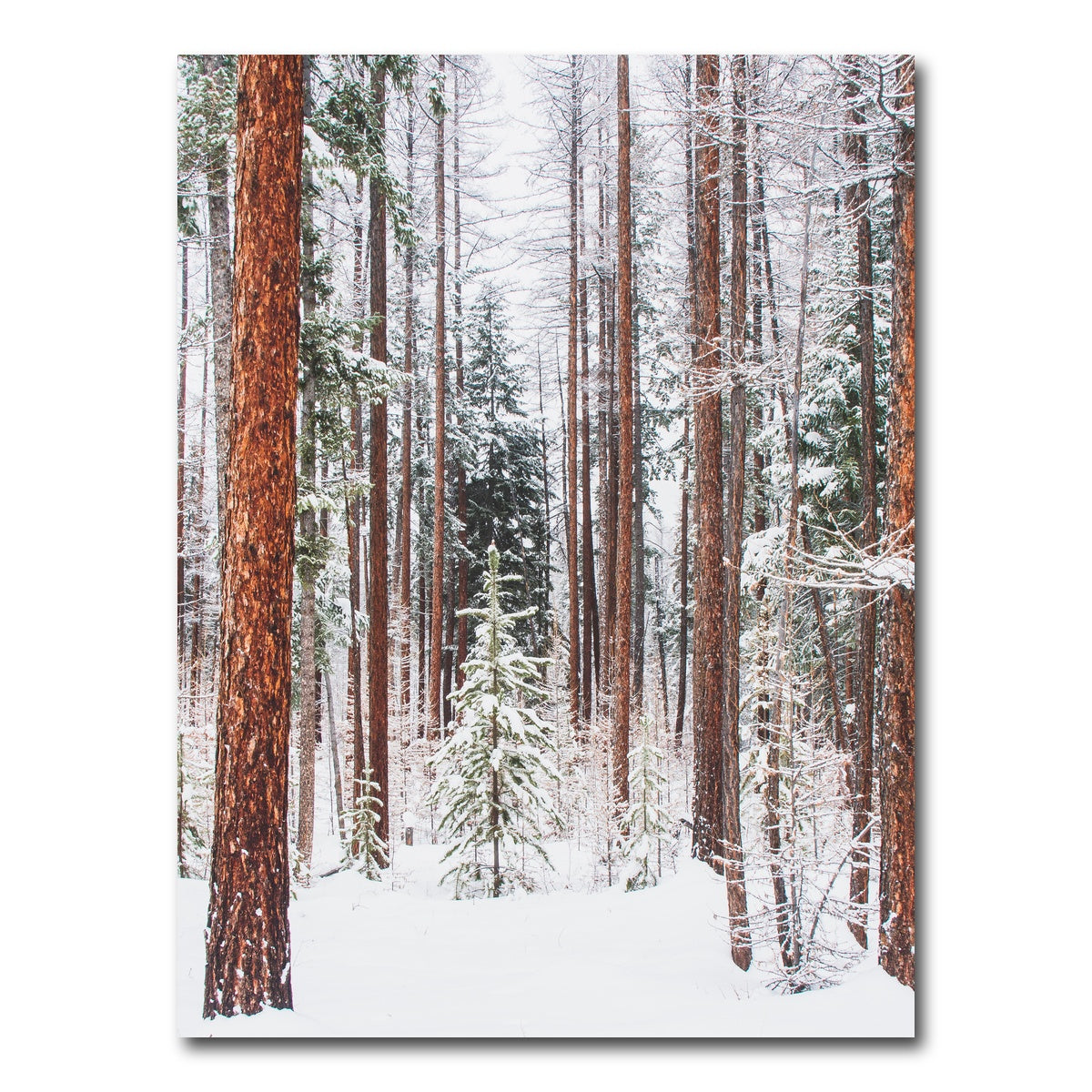 AUTO-MOCKUP WHITE | Lois Creek | 1 Piece | Gallery Wrap Canvas | group=3x4