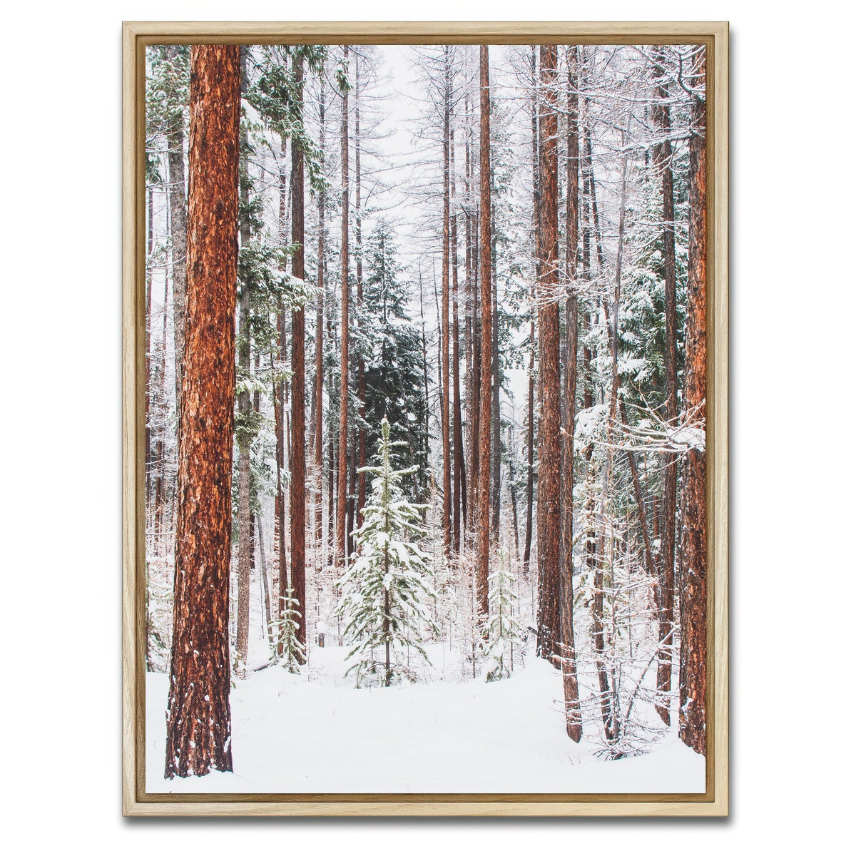 AUTO-MOCKUP WHITE | Lois Creek | 1 Piece | Natural Framed Canvas | group=3x4