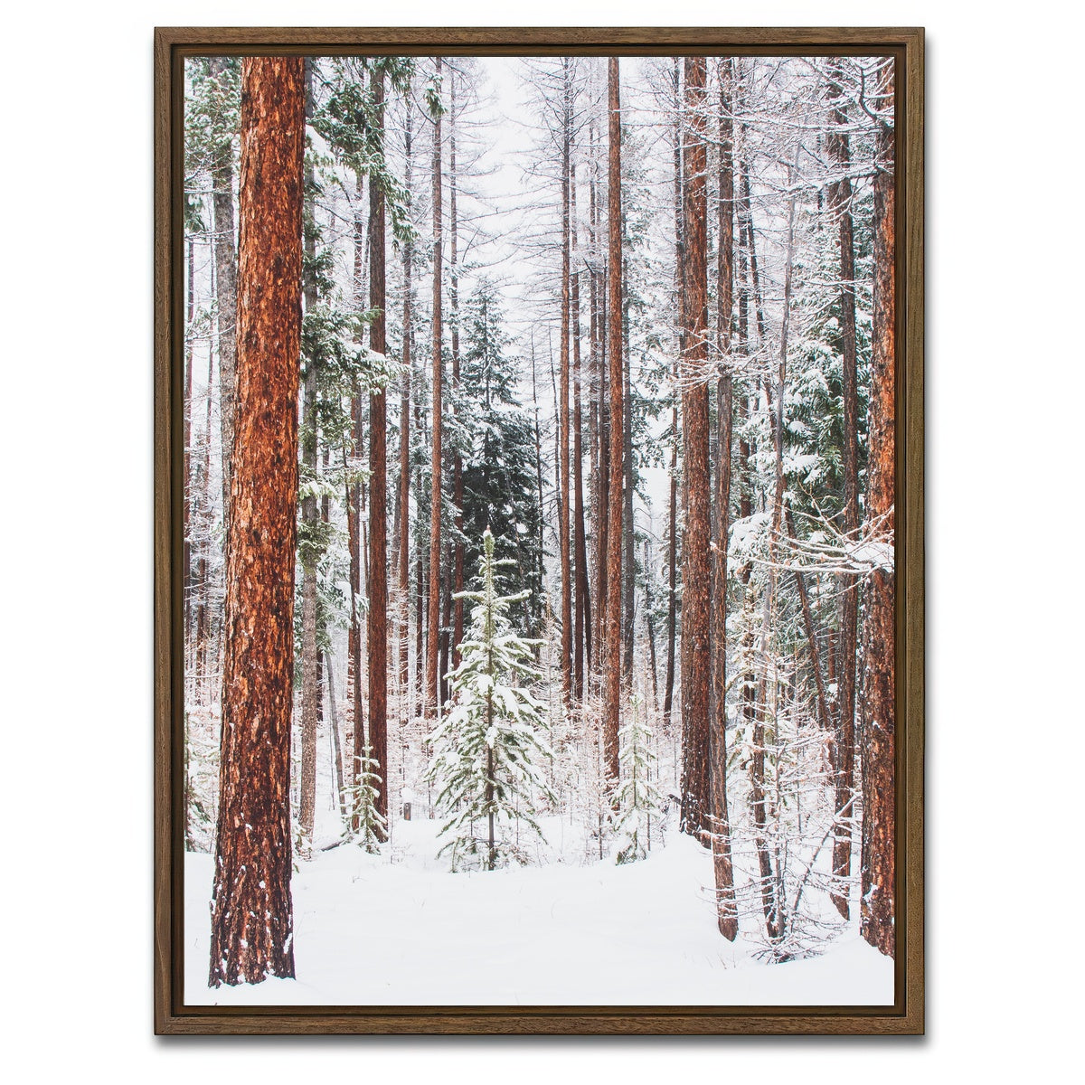 AUTO-MOCKUP WHITE | Lois Creek | 1 Piece | Walnut Framed Canvas | group=3x4