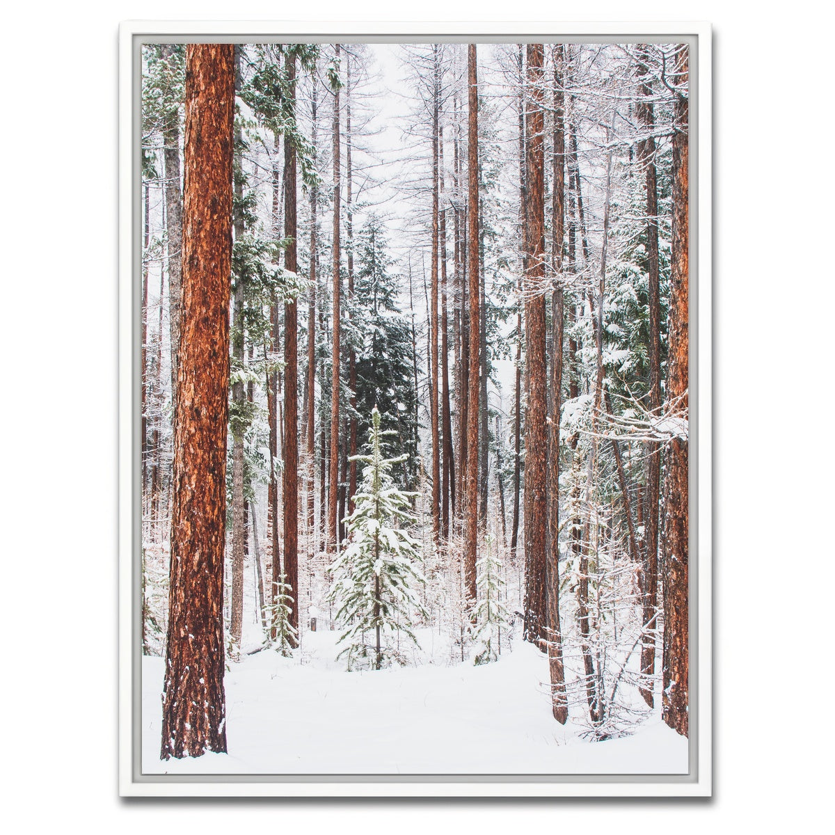 AUTO-MOCKUP WHITE | Lois Creek | 1 Piece | White Framed Canvas | group=3x4