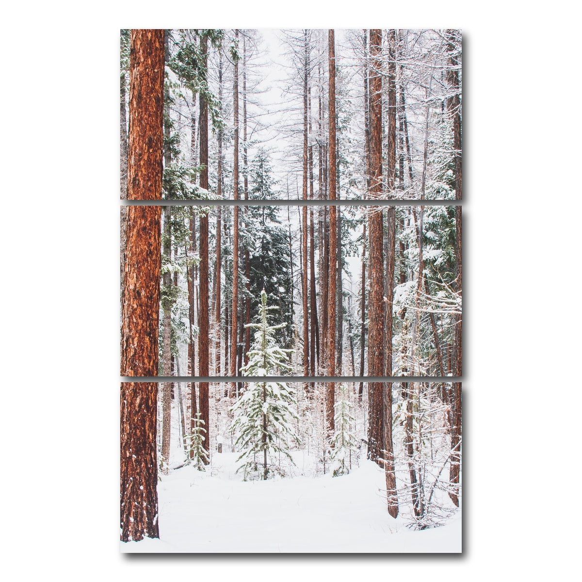 AUTO-MOCKUP WHITE | Lois Creek | 3 Piece | Gallery Wrap Canvas | group=12x24_stacked