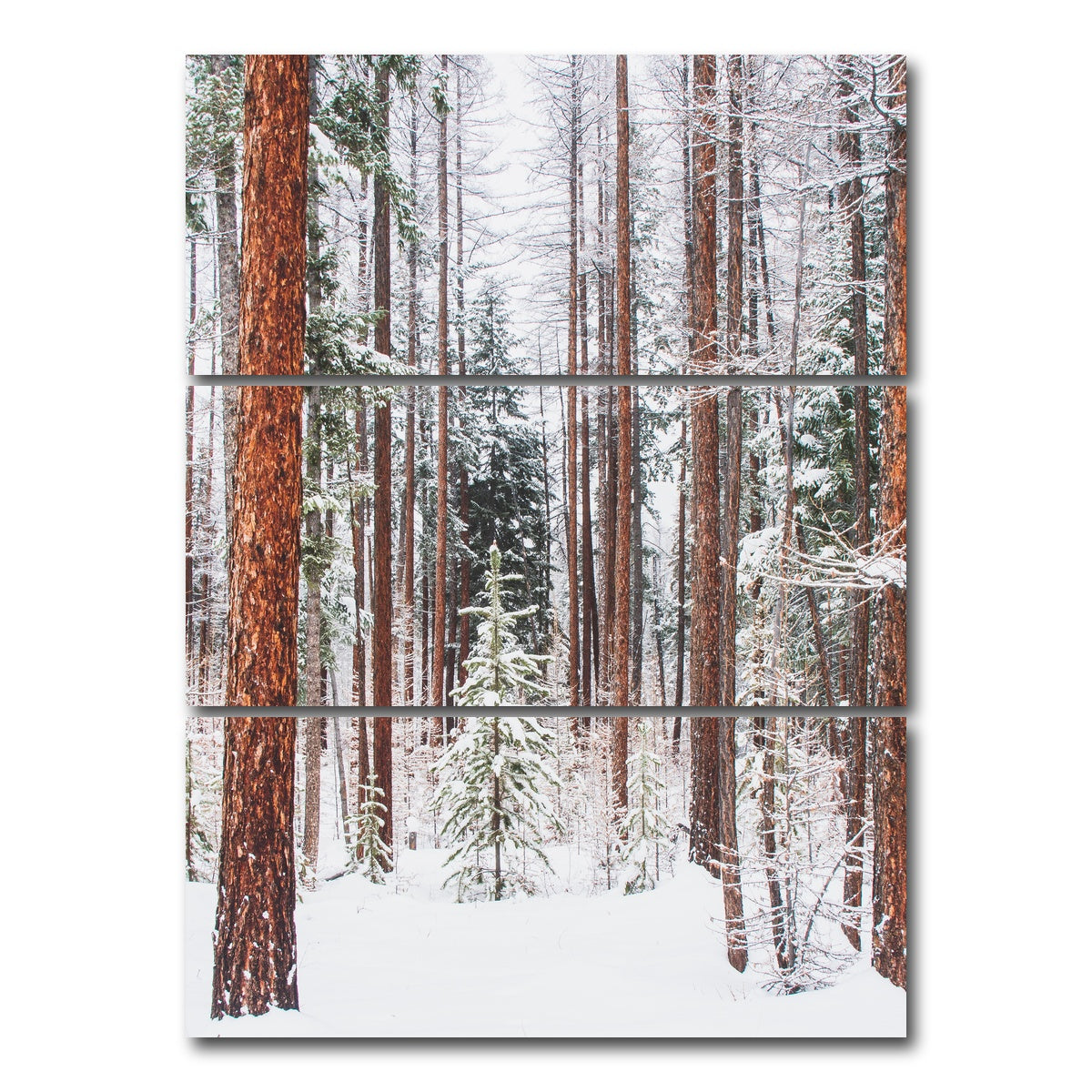 AUTO-MOCKUP WHITE | Lois Creek | 3 Piece | Gallery Wrap Canvas | group=8x18_stacked