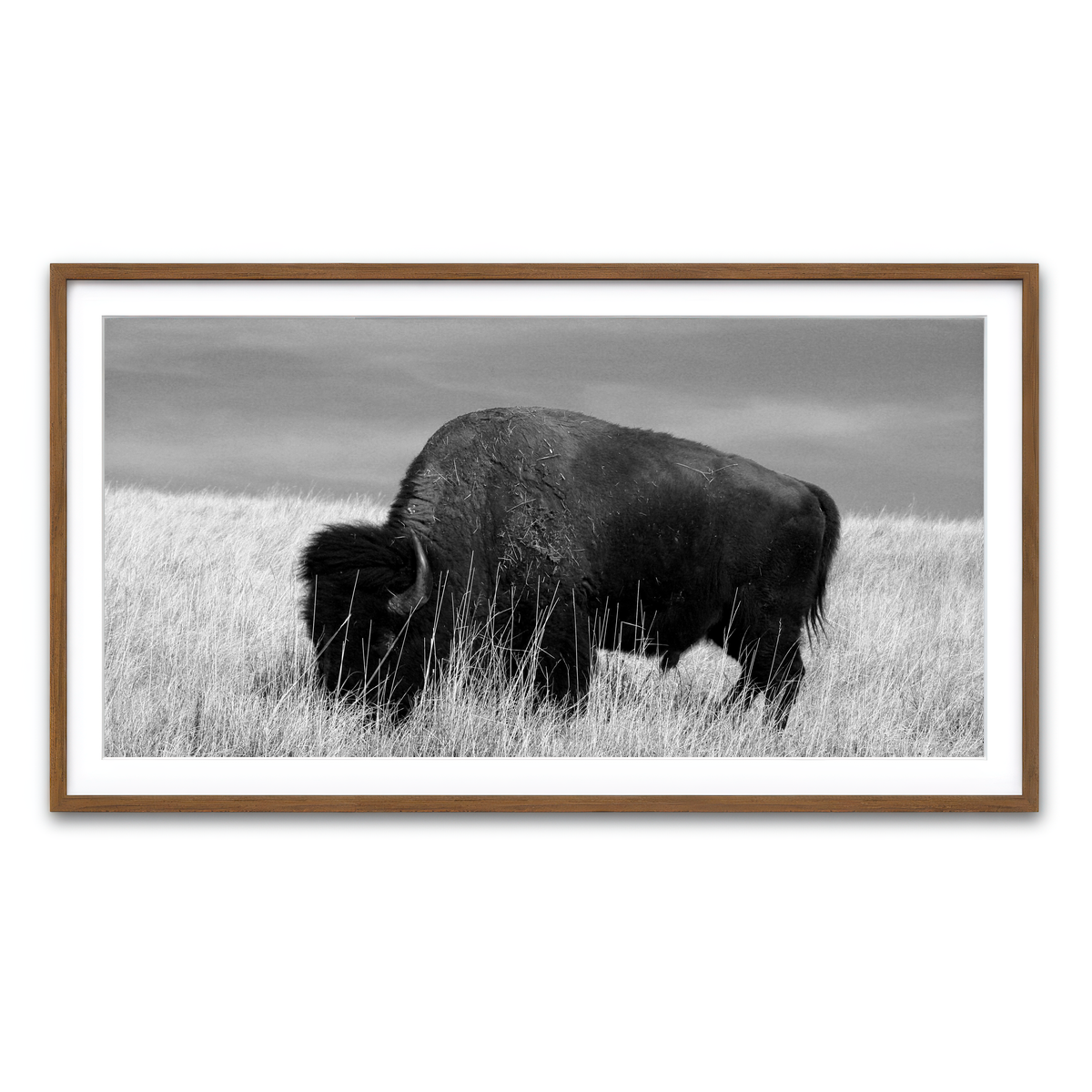 Framed Print 2x1 Walnut