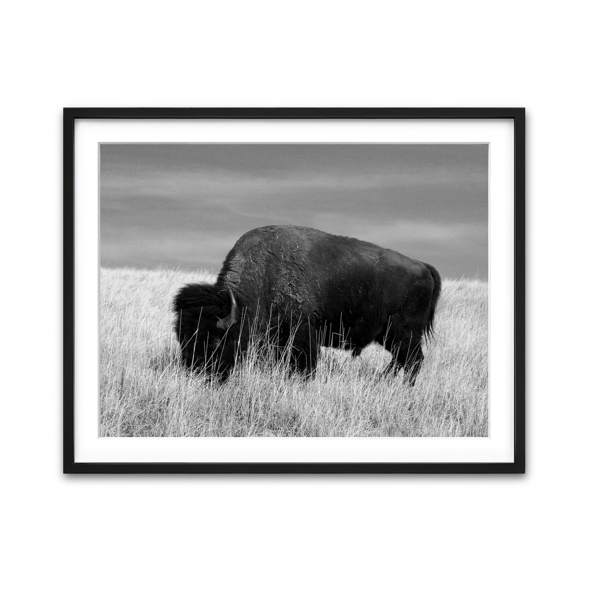 Framed Print 4x3 Black