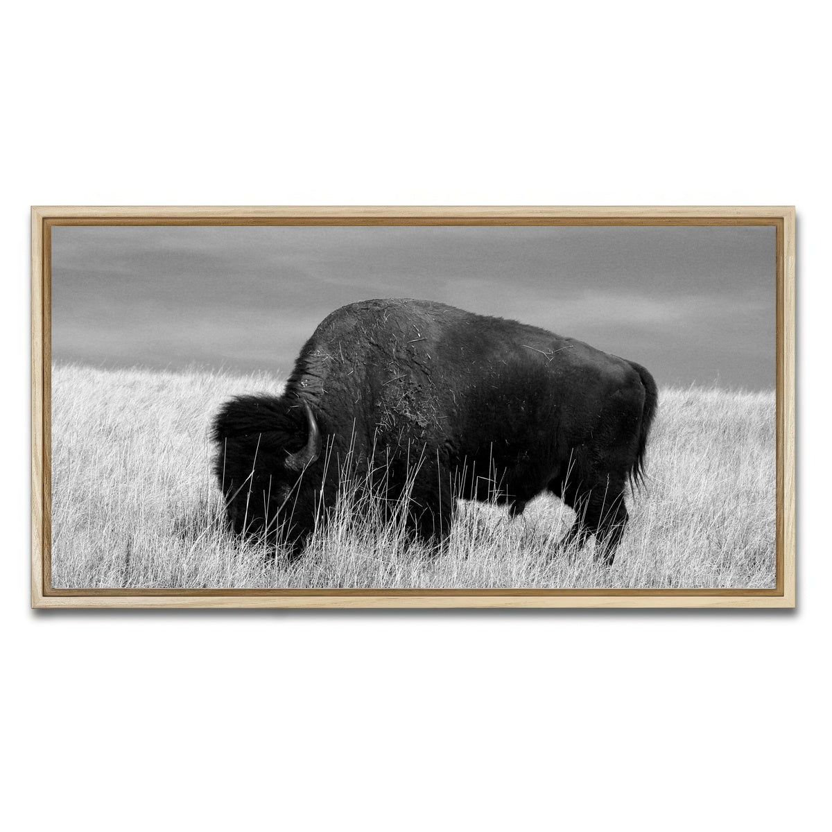 AUTO-MOCKUP WHITE | Lone Buffalo Grayscale | 1 Piece | Natural Framed Canvas | group=2x1