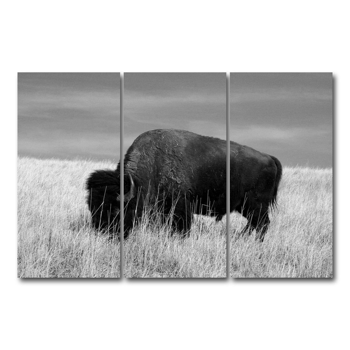 AUTO-MOCKUP WHITE | Lone Buffalo Grayscale | 3 Piece | Gallery Wrap Canvas | group=12x24
