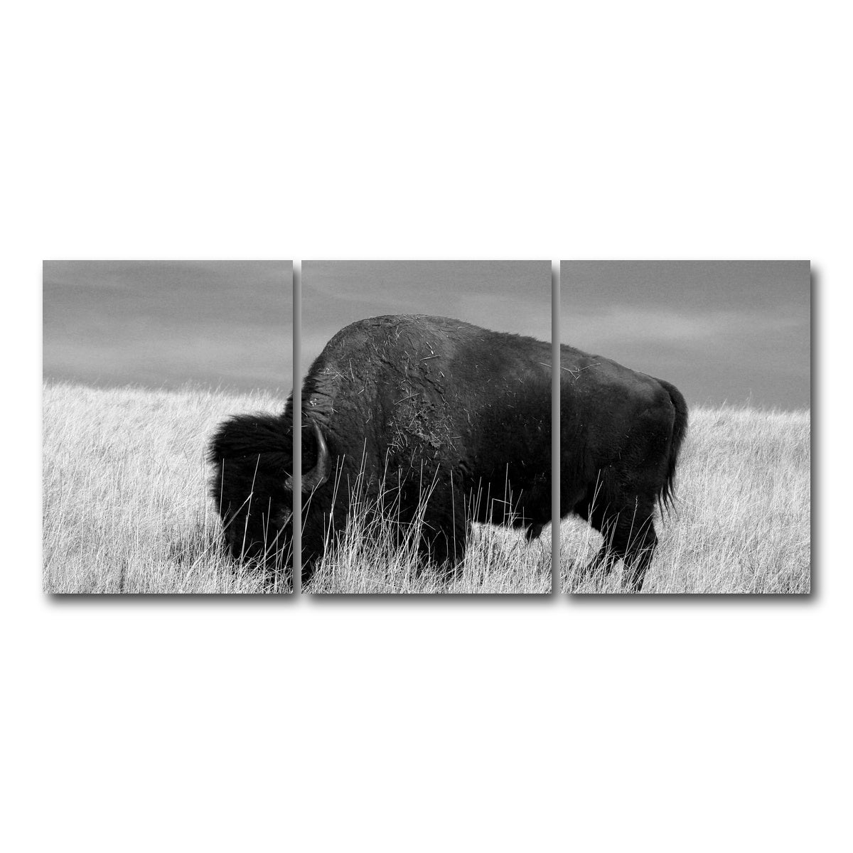 AUTO-MOCKUP WHITE | Lone Buffalo Grayscale | 3 Piece | Gallery Wrap Canvas | group=18x24