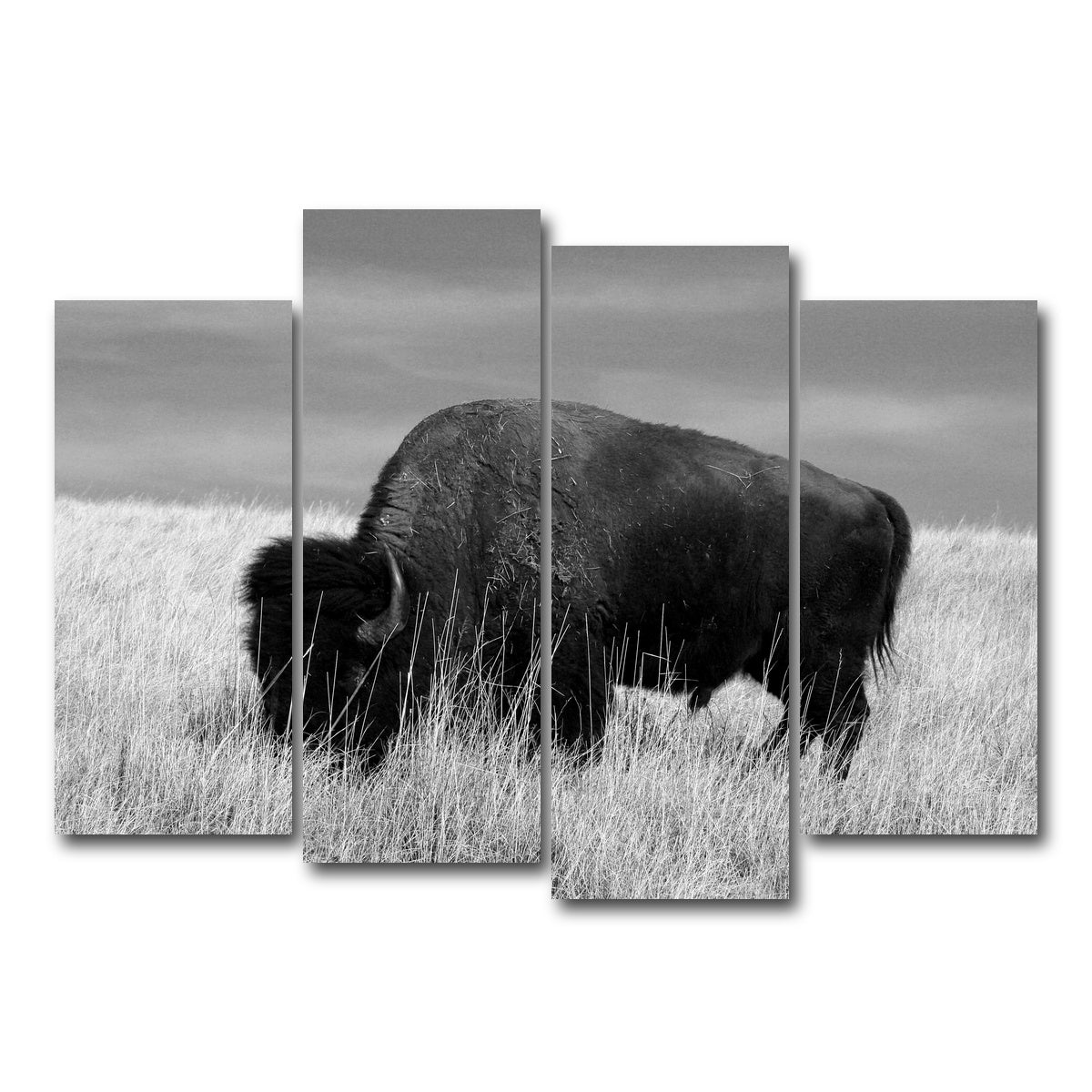 AUTO-MOCKUP WHITE | Lone Buffalo Grayscale | 4 Piece | Gallery Wrap Canvas | group=4_normal