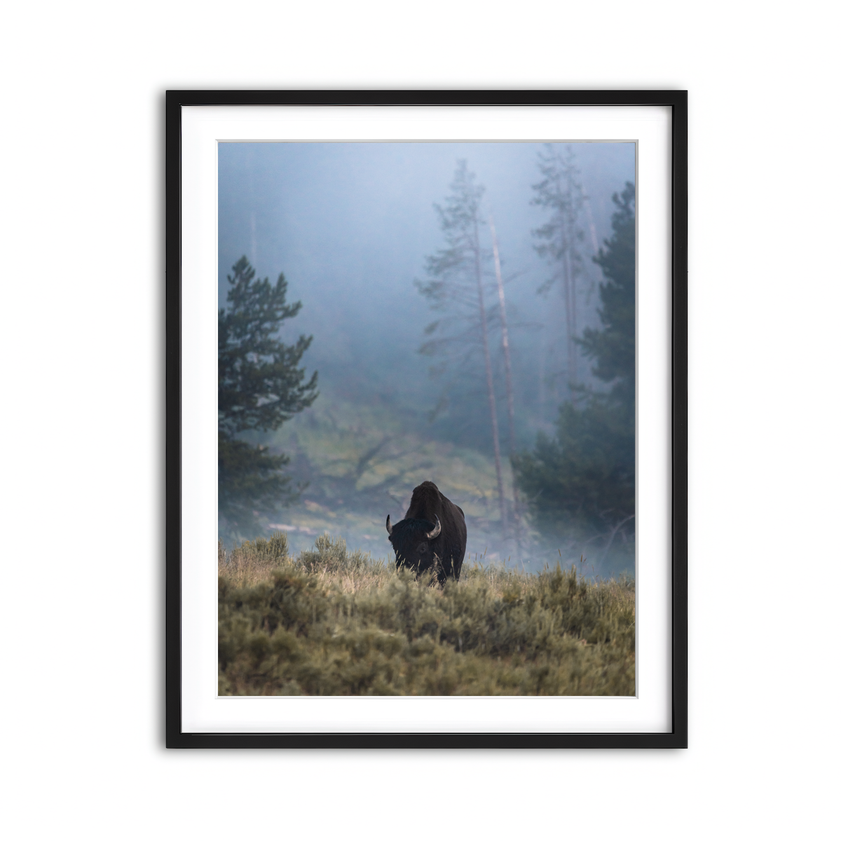 Framed Print 3x4 Black