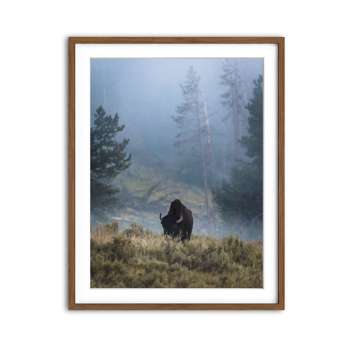 Framed Print 3x4 Walnut