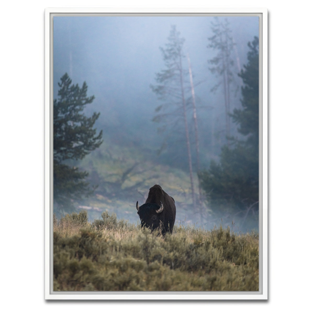 AUTO-MOCKUP WHITE | Lone Buffalo | 1 Piece | White Framed Canvas | group=3x4