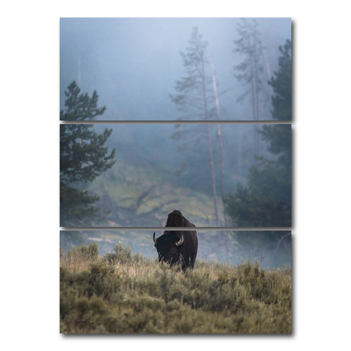 AUTO-MOCKUP WHITE | Lone Buffalo | 3 Piece | Gallery Wrap Canvas | group=8x18_stacked