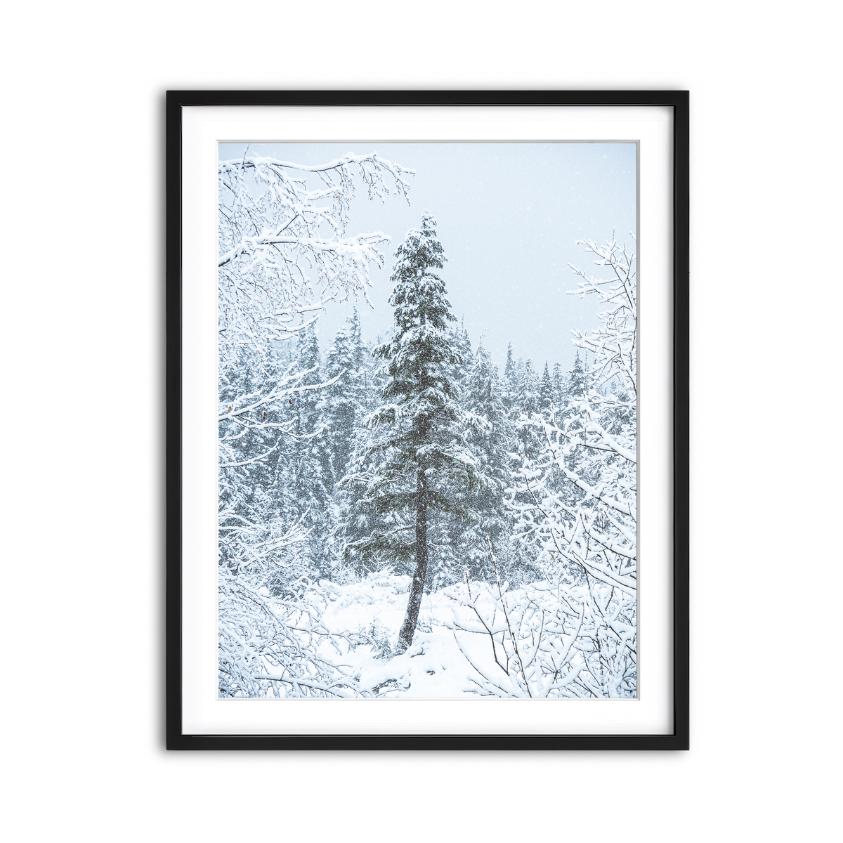 Framed Print 3x4 Black