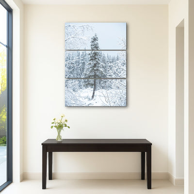 AUTO-MOCKUP ROOM | Lone Tree