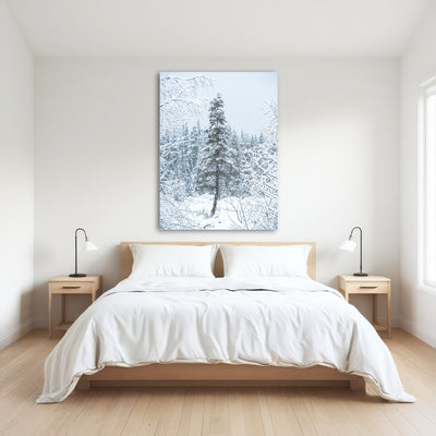 AUTO-MOCKUP ROOM | Lone Tree