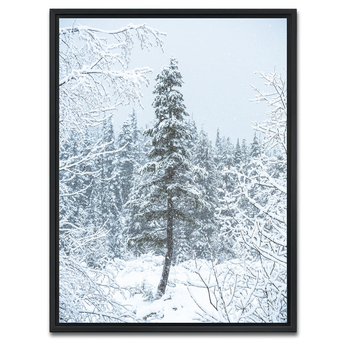 AUTO-MOCKUP WHITE | Lone Tree | 1 Piece | Black Framed Canvas | group=3x4