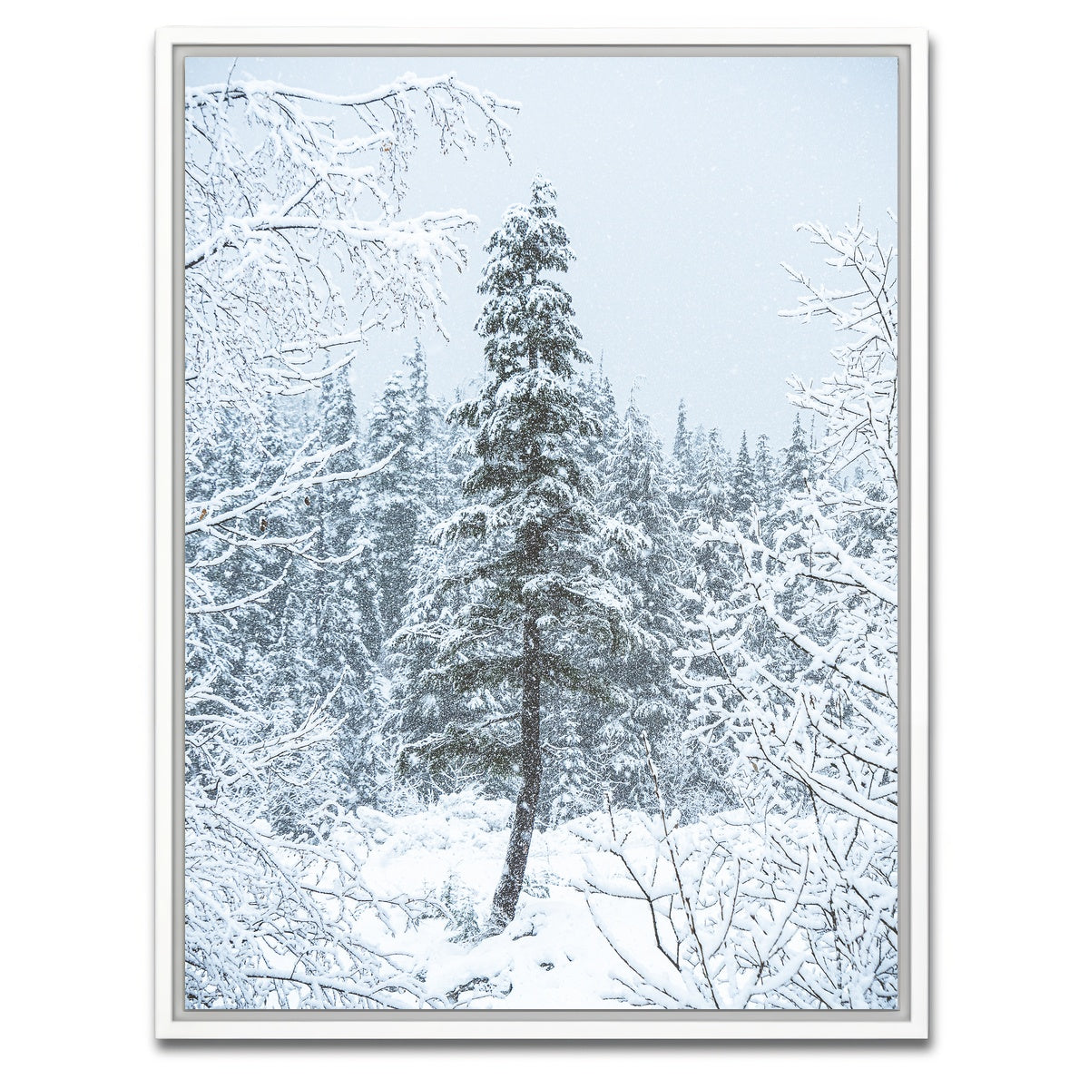 AUTO-MOCKUP WHITE | Lone Tree | 1 Piece | White Framed Canvas | group=3x4