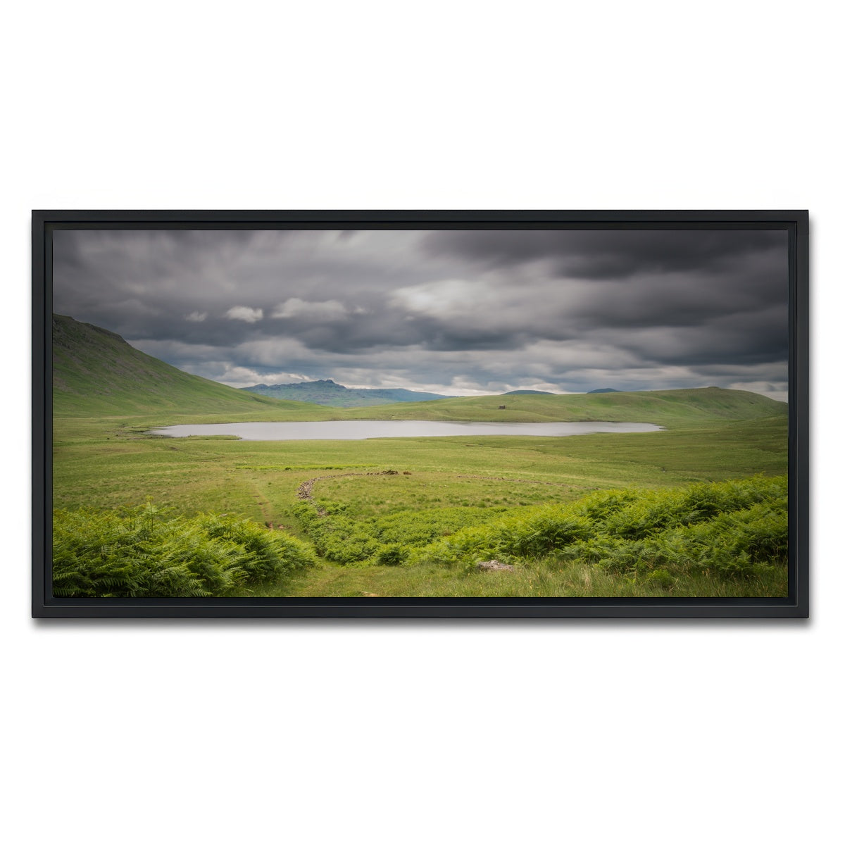 AUTO-MOCKUP WHITE | Lonely Pond | 1 Piece | Black Framed Canvas | group=2x1