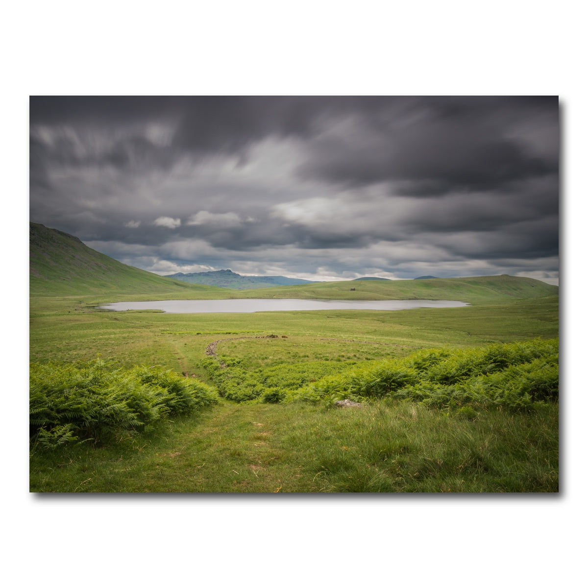 AUTO-MOCKUP WHITE | Lonely Pond | 1 Piece | Gallery Wrap Canvas | group=4x3