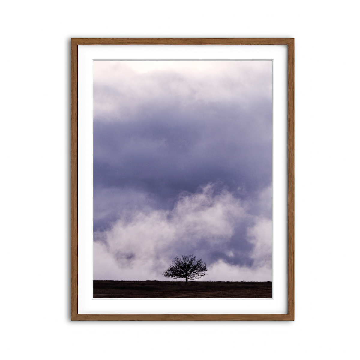 Framed Print 3x4 Walnut