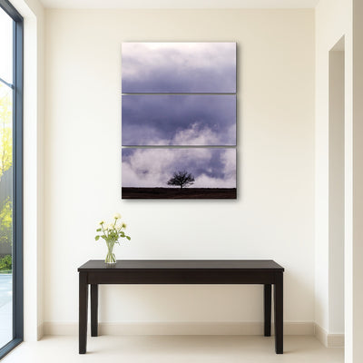 AUTO-MOCKUP ROOM | Lonely Tree