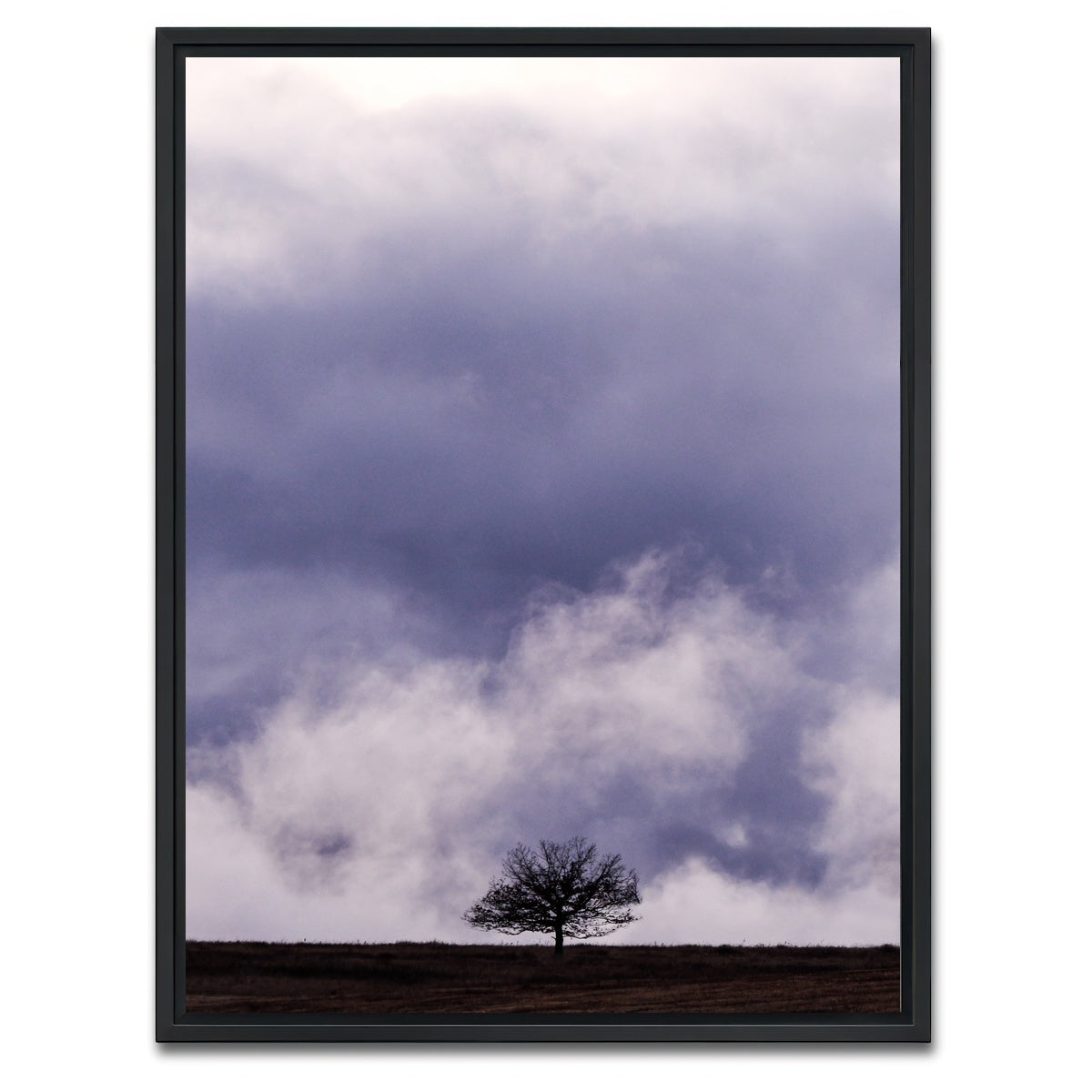 AUTO-MOCKUP WHITE | Lonely Tree | 1 Piece | Black Framed Canvas | group=3x4