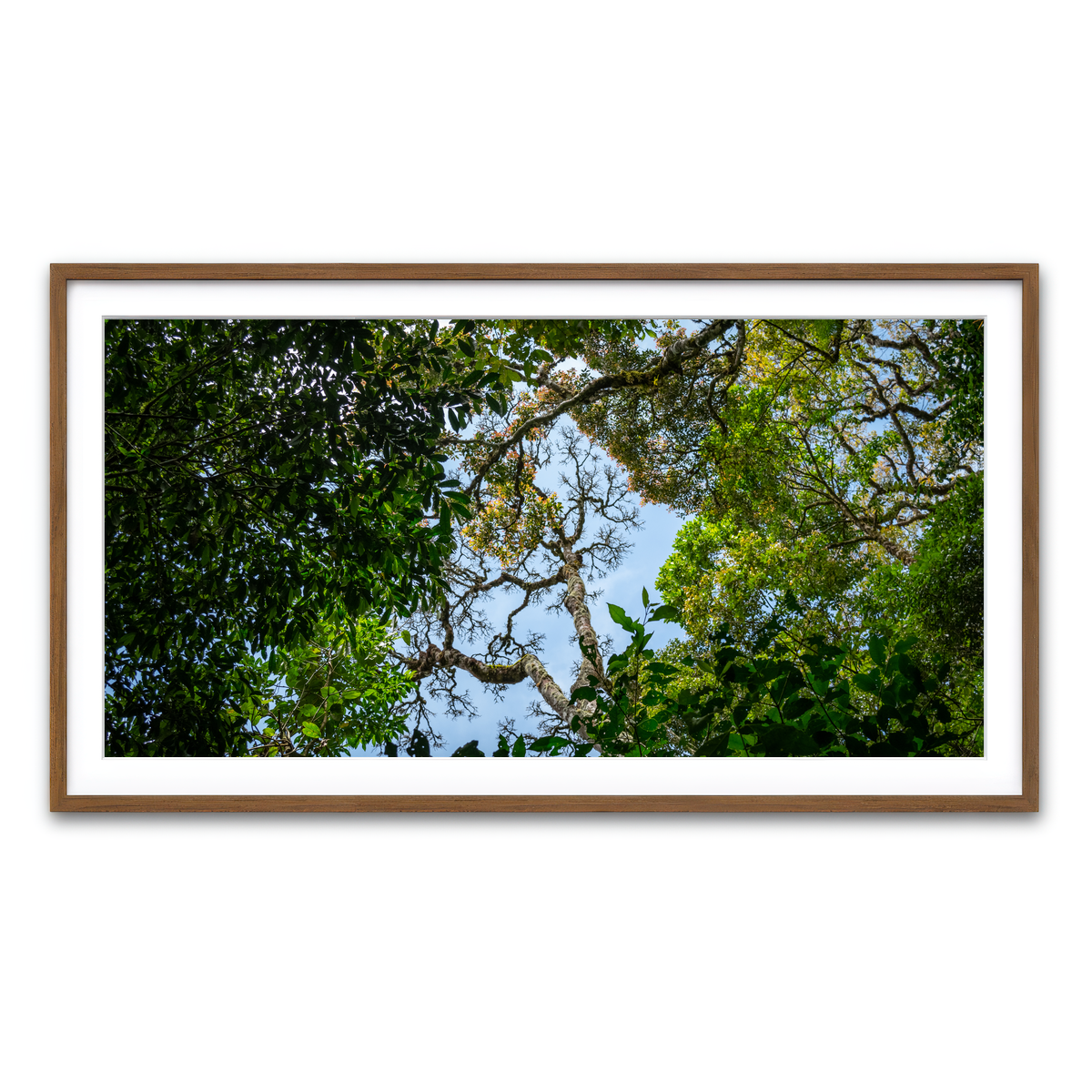 Framed Print 2x1 Walnut