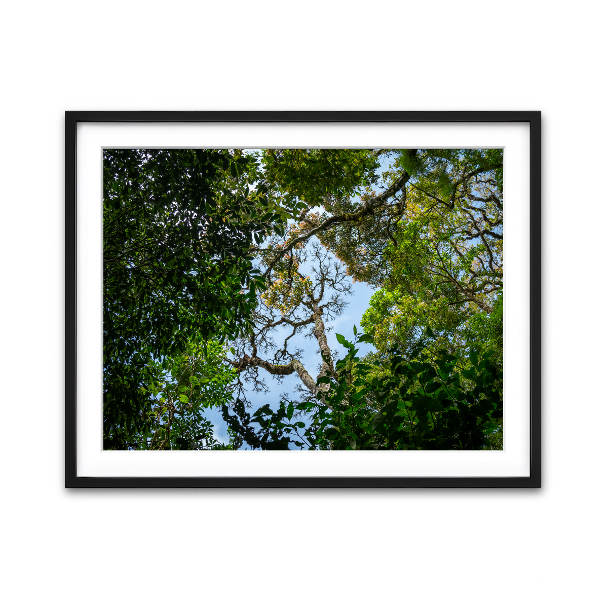 Framed Print 4x3 Black