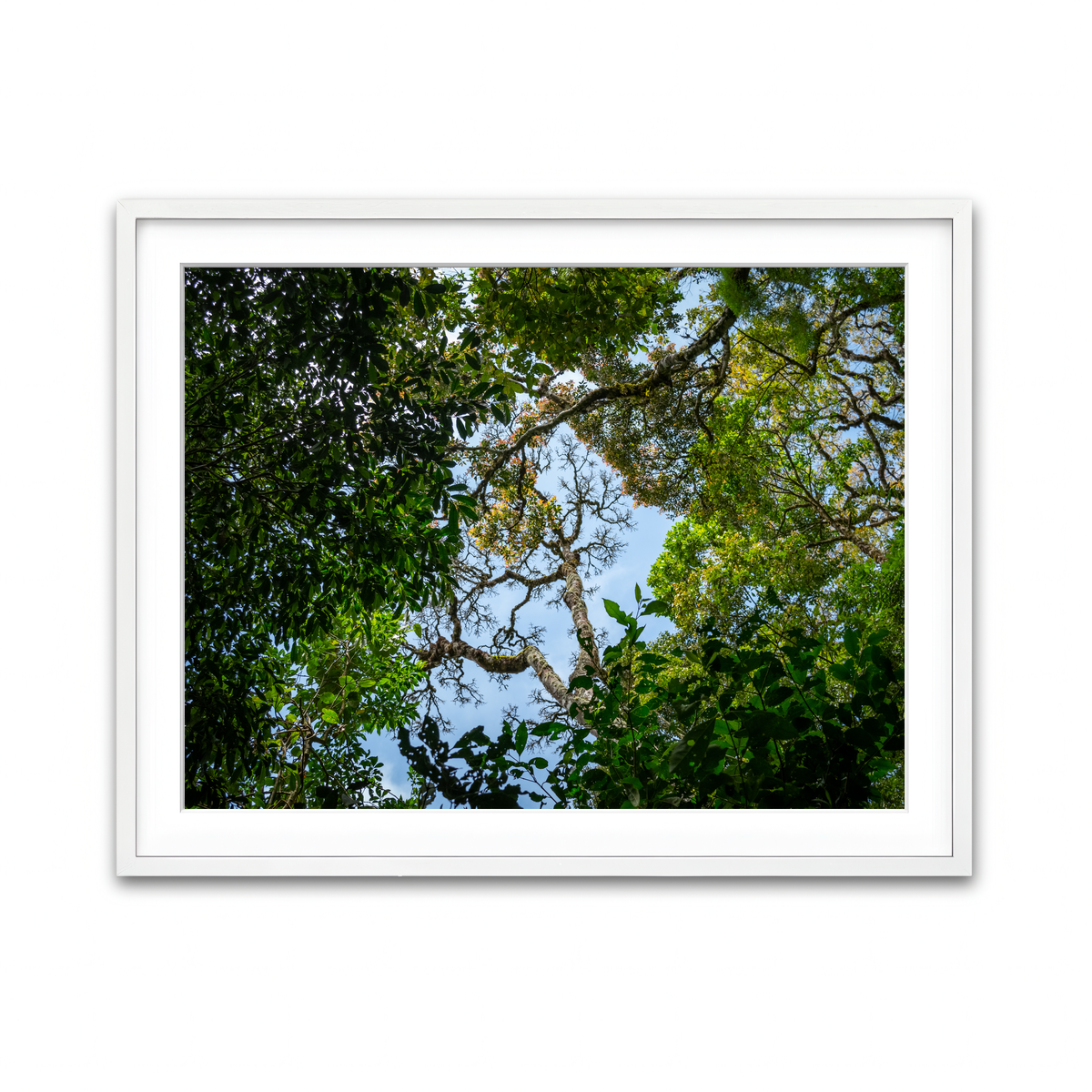 Framed Print 4x3 White