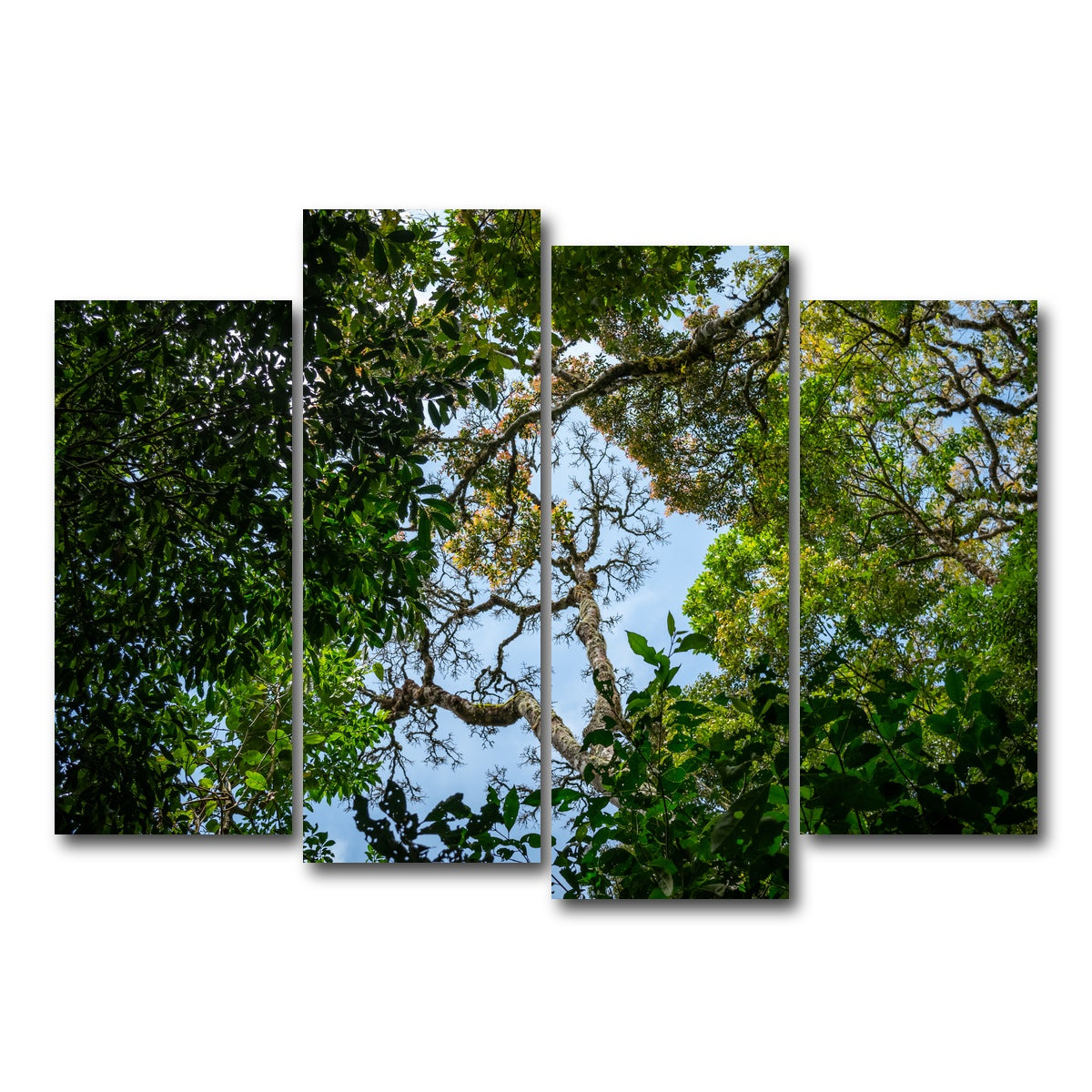 AUTO-MOCKUP WHITE | Look up in the forest | 4 Piece | Gallery Wrap Canvas | group=4_normal