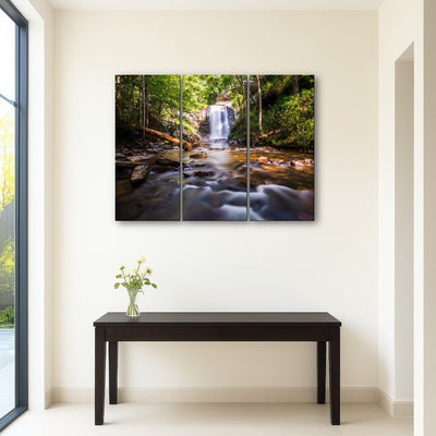 AUTO-MOCKUP ROOM | Looking Glass Falls NC