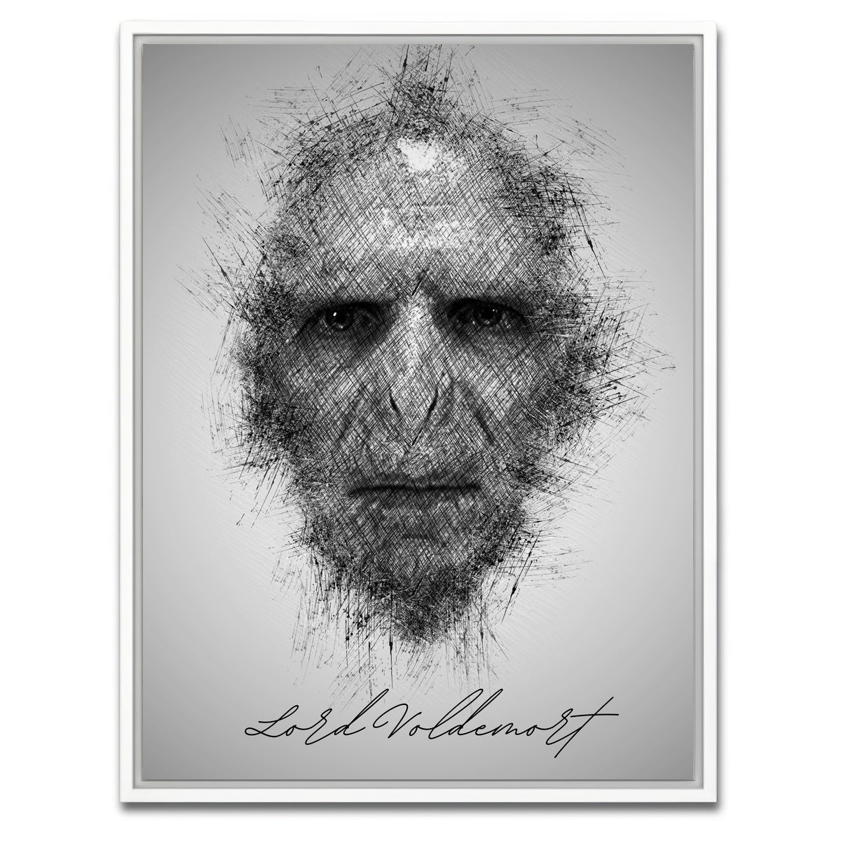 AUTO-MOCKUP WHITE | Lord Voldemort | 1 Piece | White Framed Canvas | group=3x4