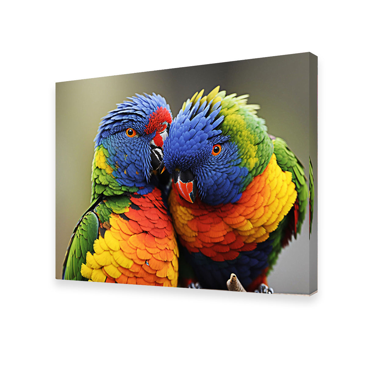 Lorikeet Birds Wall Art