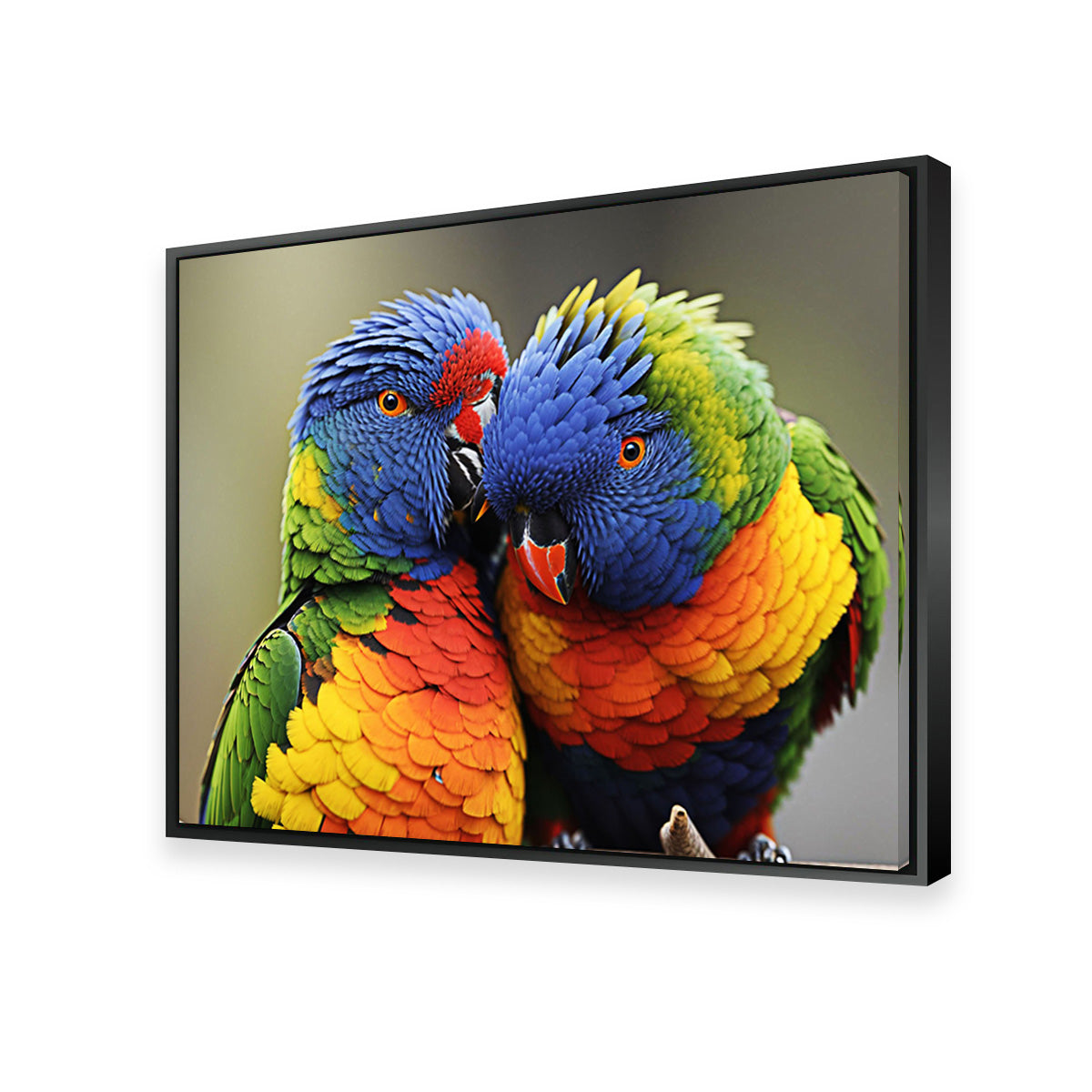 Lorikeet Birds Wall Art