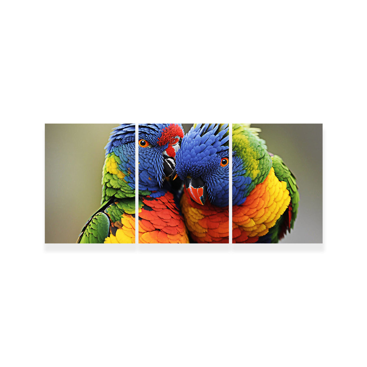 Lorikeet Birds Wall Art