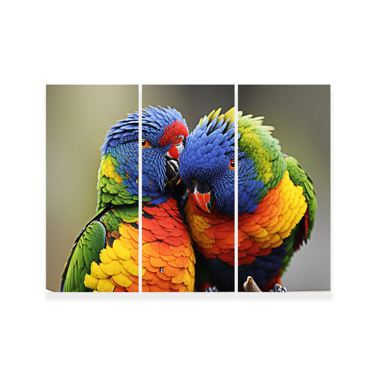 Lorikeet Birds Wall Art