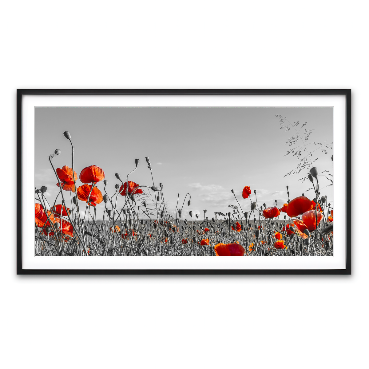 Framed Print 2x1 Black