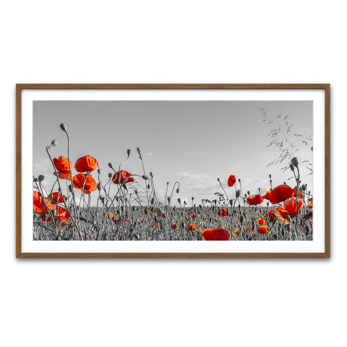 Framed Print 2x1 Walnut