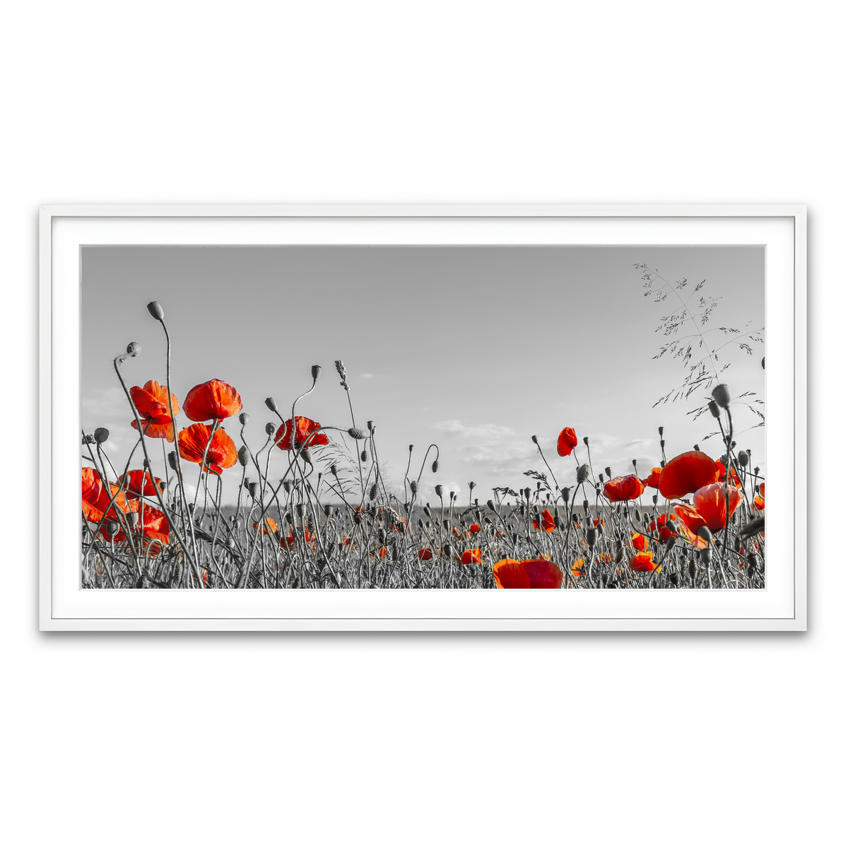 Framed Print 2x1 White