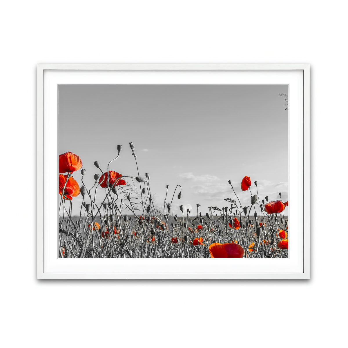 Framed Print 4x3 White