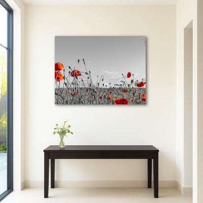 AUTO-MOCKUP ROOM | Lovely Poppy Field