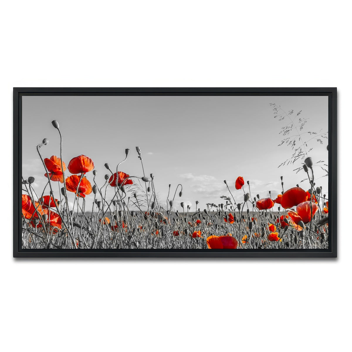 AUTO-MOCKUP WHITE | Lovely Poppy Field | 1 Piece | Black Framed Canvas | group=2x1