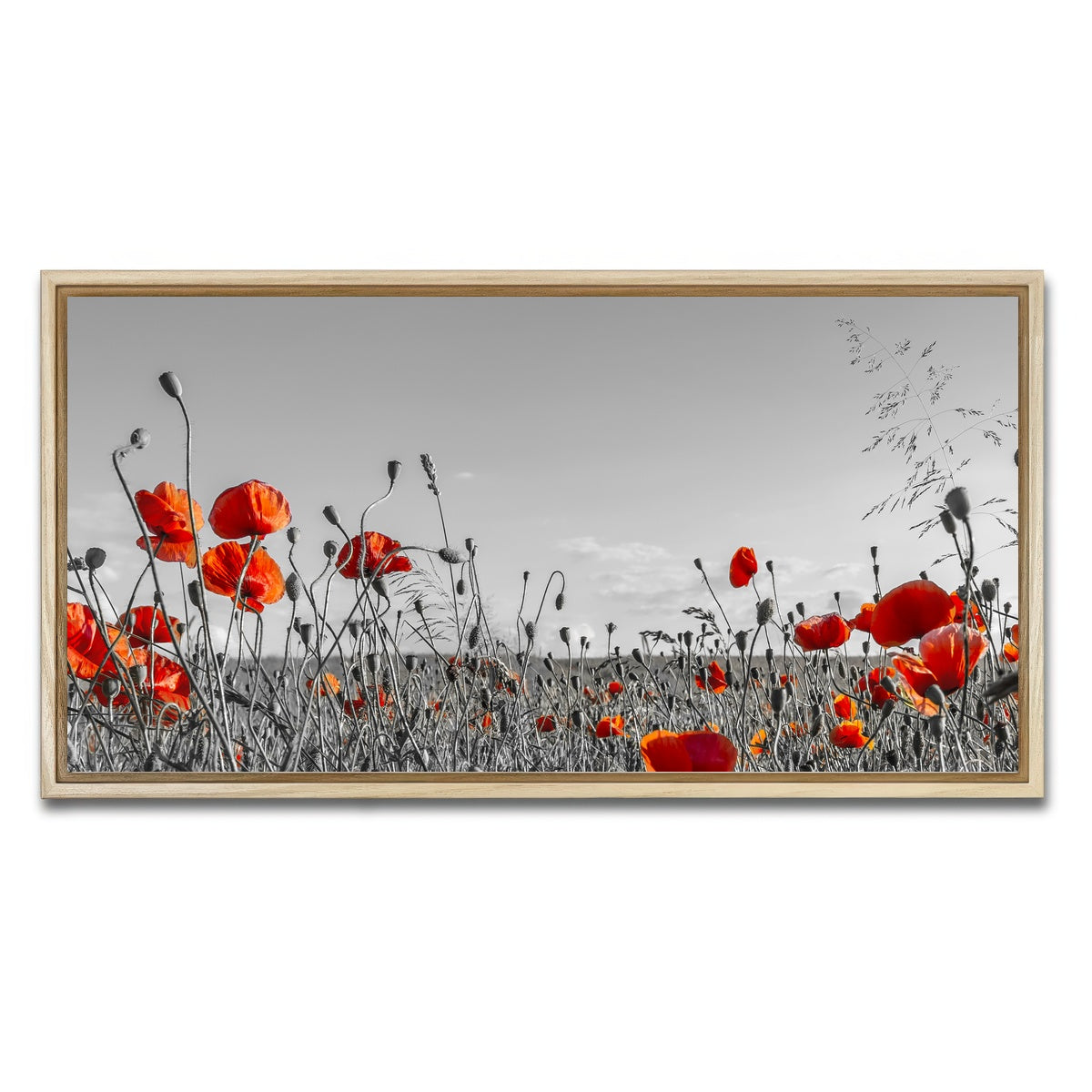AUTO-MOCKUP WHITE | Lovely Poppy Field | 1 Piece | Natural Framed Canvas | group=2x1