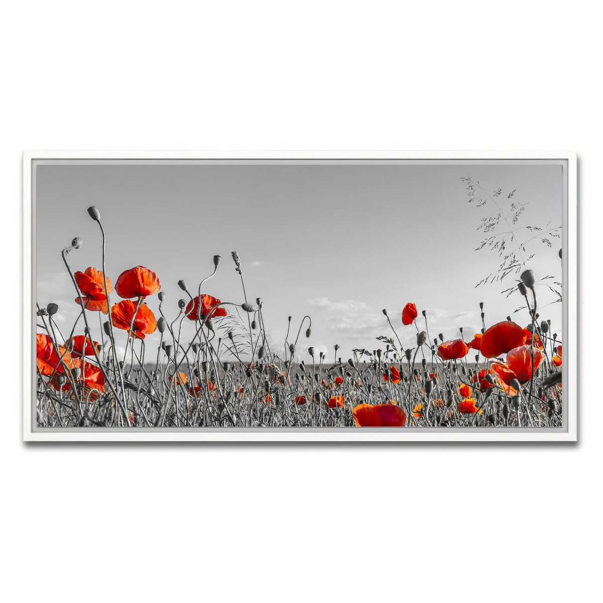 AUTO-MOCKUP WHITE | Lovely Poppy Field | 1 Piece | White Framed Canvas | group=2x1