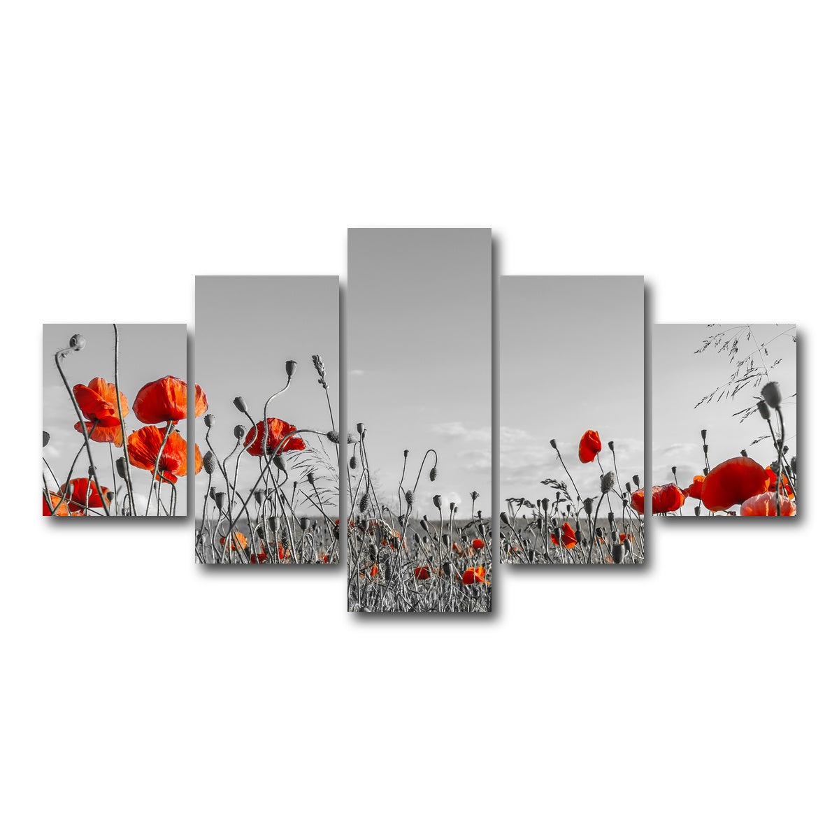 AUTO-MOCKUP WHITE | Lovely Poppy Field | 5 Piece | Gallery Wrap Canvas | group=5_short