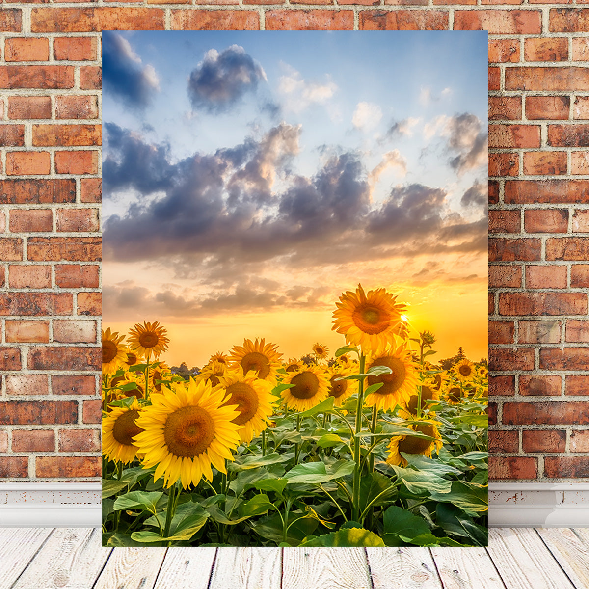 Lovely Sunflowers in Sunset Wall Art